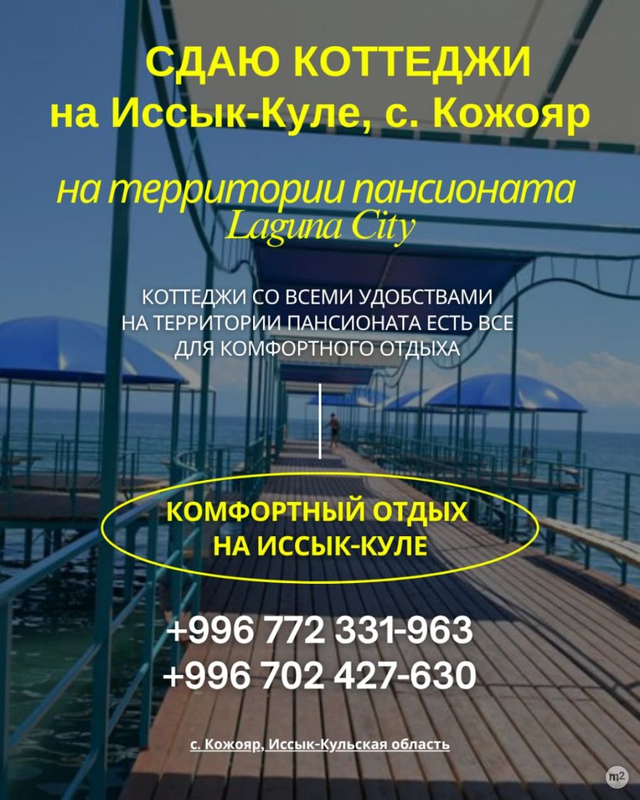 1780551476_47739100.jpg