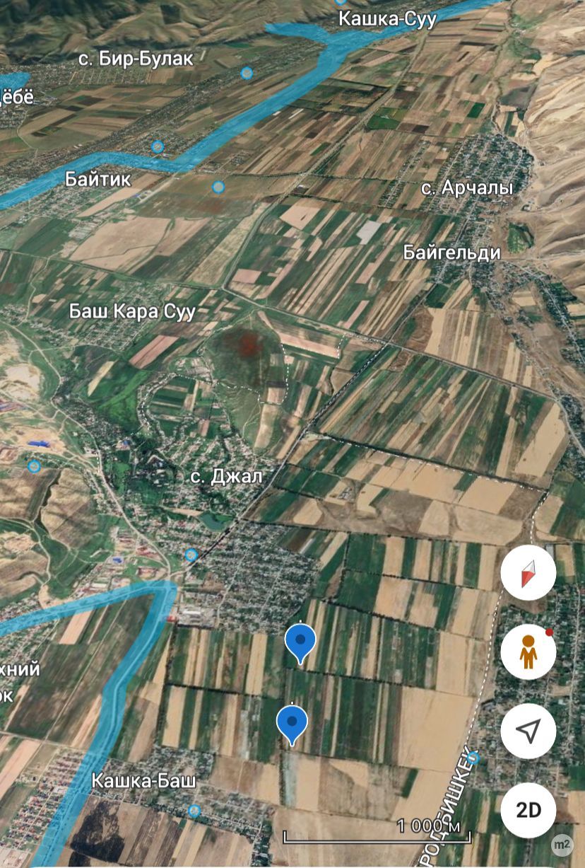 1782799970_09314700.jpg