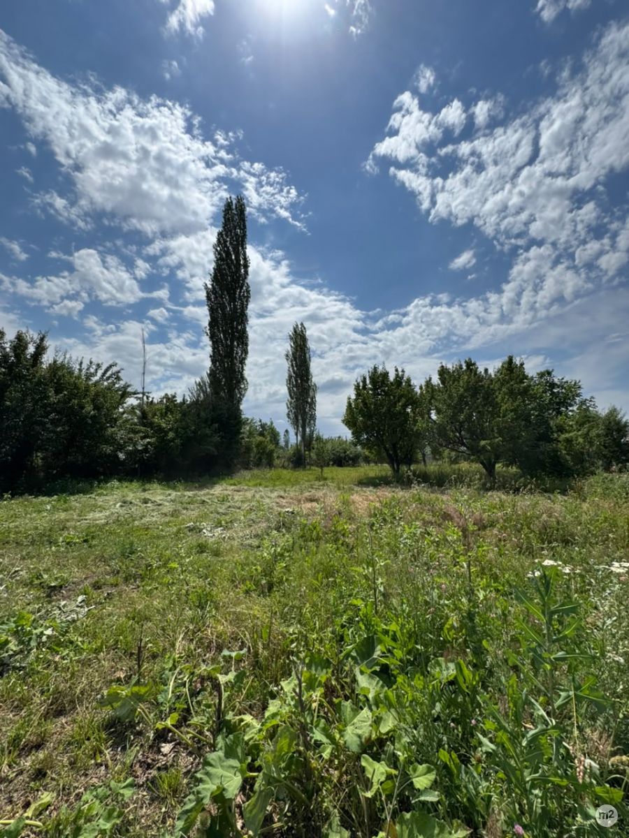 1782800052_12703500.jpg