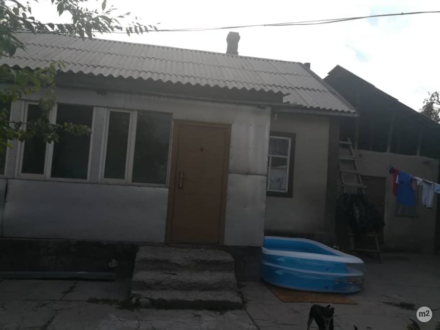 1580731683_20208600.jpg