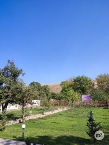 1740810120_45371000.jpg