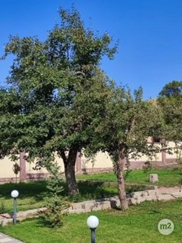 1740810121_28537400.jpg