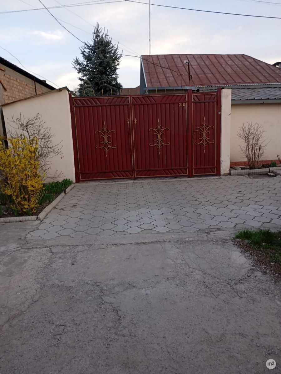 1743871430_75817600.jpg