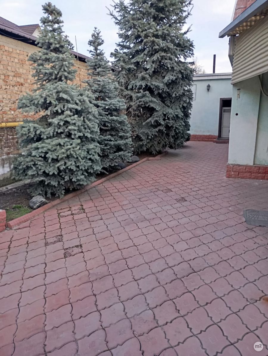 1743871432_60616500.jpg