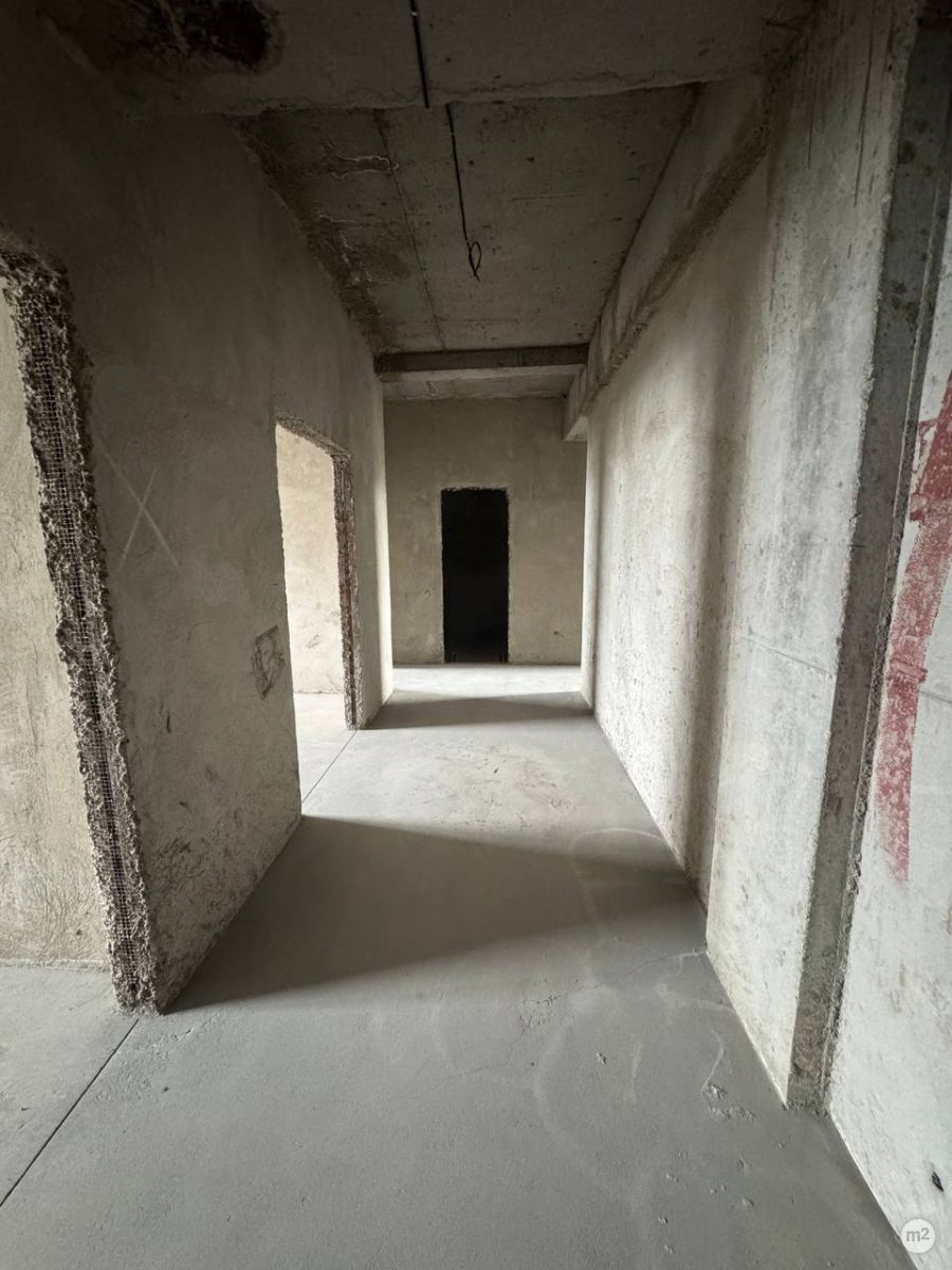 1745324460_36930200.jpg