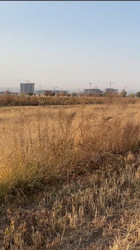 Участок 155.00 соток(Ленинский район, г. Бишкек)