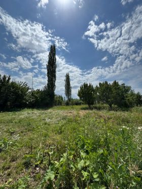 Участок 15.00 соток, Шукуралиева  18а(с. Шалта, Сокулукский район, Чуйская область)