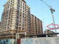 1-комнатная квартира, Аалы Токомбаева -Сухэ-Батора (мкр. Асанбай, Октябрьский район, г. Бишкек)